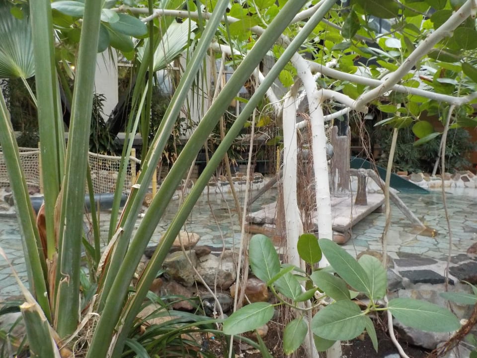 Kinderbecken im Aqua Mundo Center Parcs Het Heijderbos