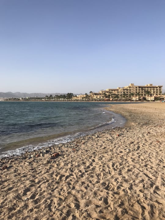 Strand Shams Prestige Abu Soma-Adults Only