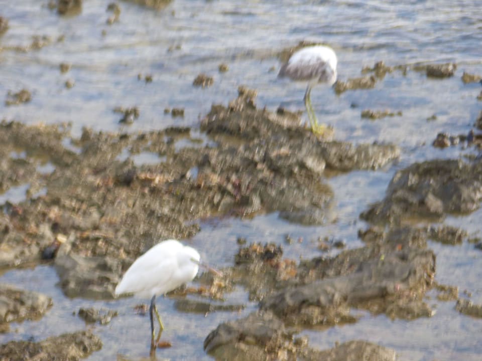 Vogel Three Corners Equinox Beach Resort