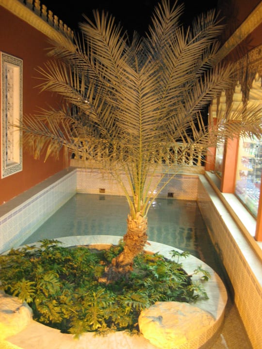 Gute ins Licht gesetzt Pickalbatros Alf Leila Wa Leila Resort - Neverland Hurghada