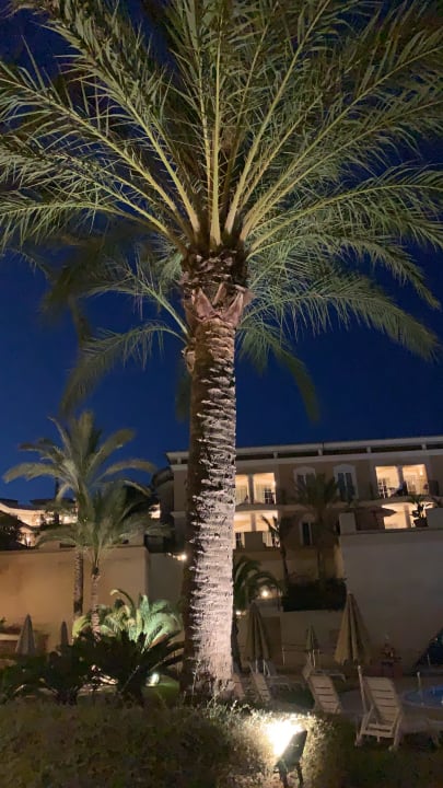 Garten Grupotel Playa de Palma Suites & Spa