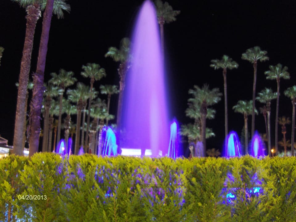 Part of the pool by night Prime Beach Hotel
