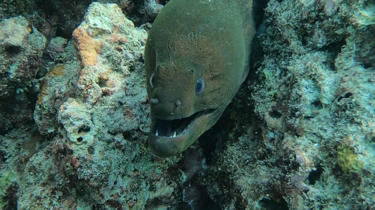 Sport & Freizeit NH Collection Maldives Reethi Resort