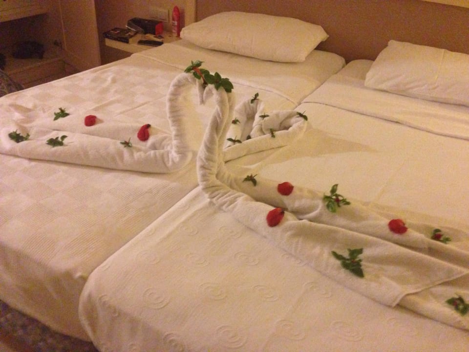 Zimmer vor Abreise Ephesia Holiday Beach Club