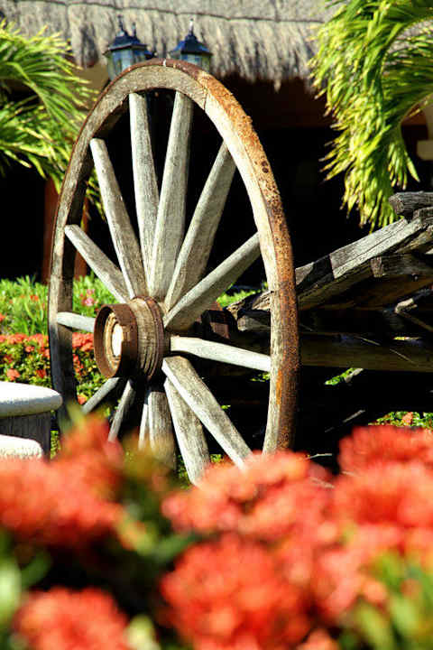 Повозка Grand Palladium Select White Sand Resort & Spa