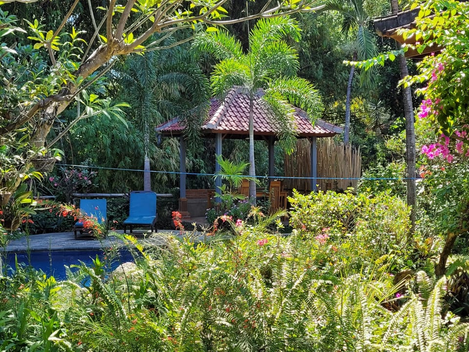 Pool Saraswati Holiday House