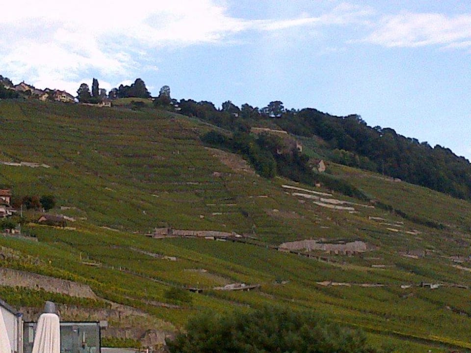 Blick in die Rebberge Clarion Collection Hotel Lavaux
