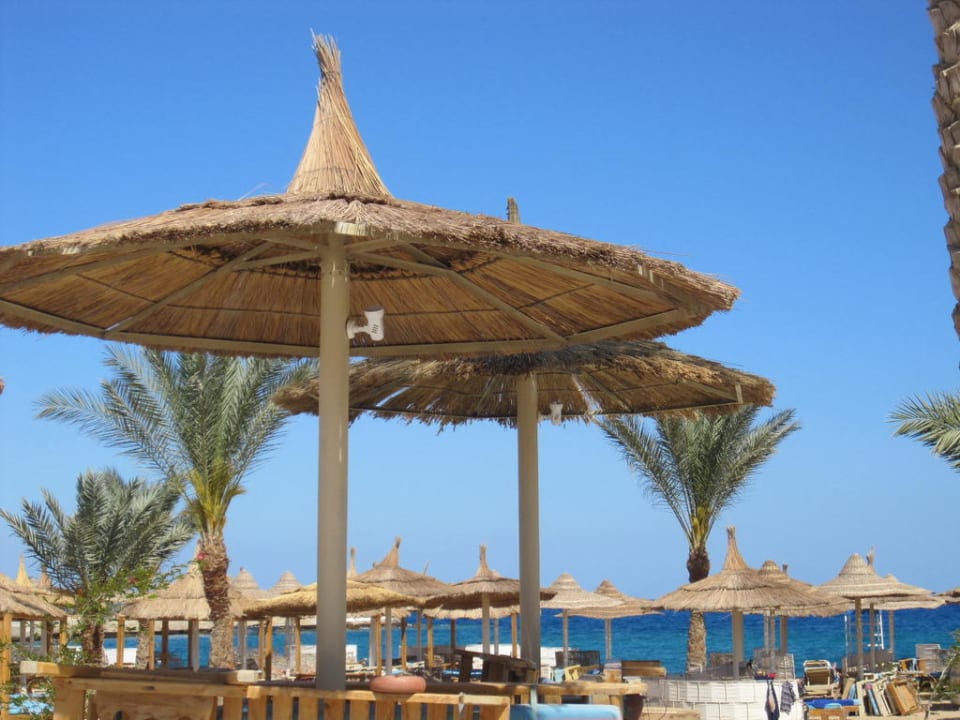 Blick vom Pool zum Meer Beach Albatros Resort
