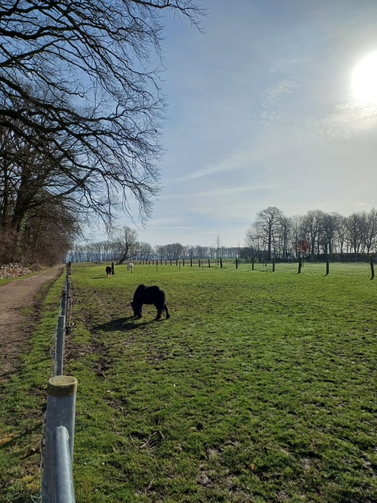 Ausblick Ferienbauernhof Liesenberg mit Meerblick