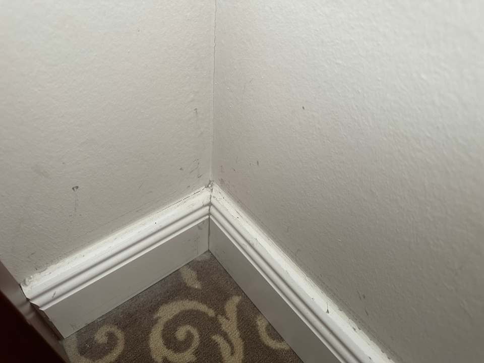 Zimmer Avalon Hotel Bellevue