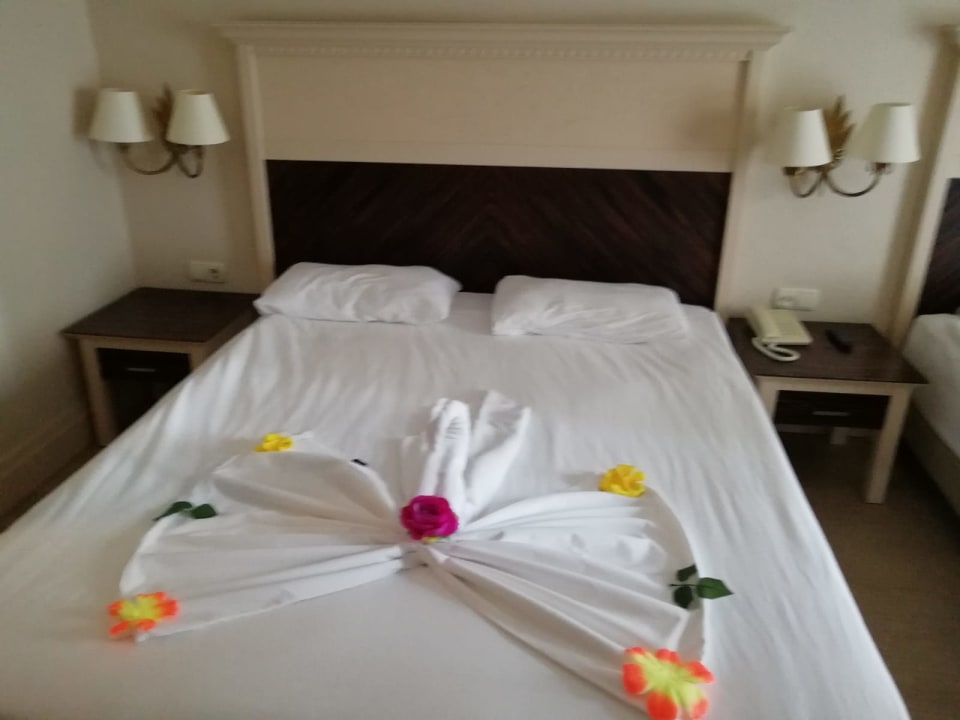 Zimmer Aydinbey Kings Palace & Spa