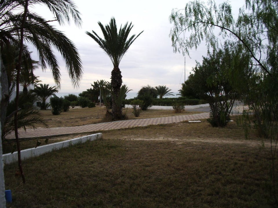 La vue de notre chambre Hotel El Mouradi Djerba Menzel