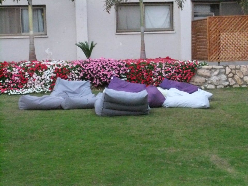 Patio Hotel Oasis Dead Sea