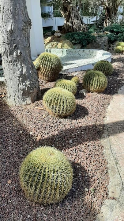 Außenansicht allsun Hotel Bella Paguera