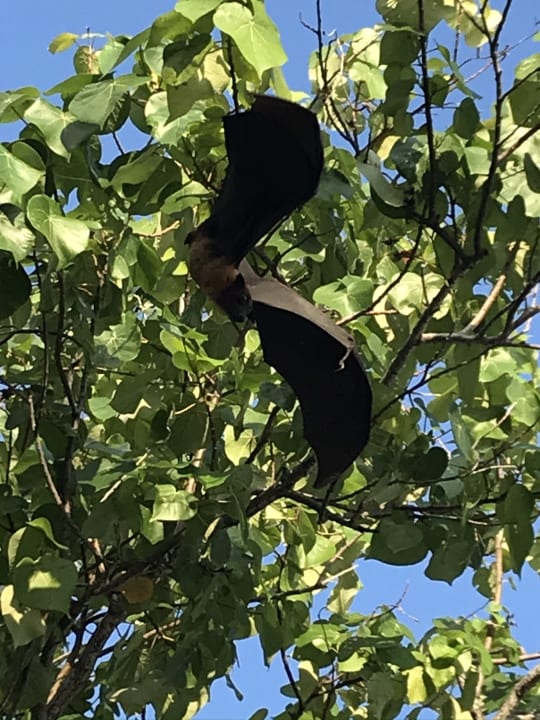 Sonstiges Kuredu Island Resort & Spa