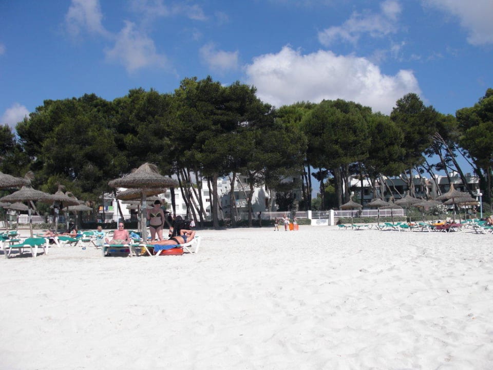Strand Alcudia Grupotel Port d'Alcudia