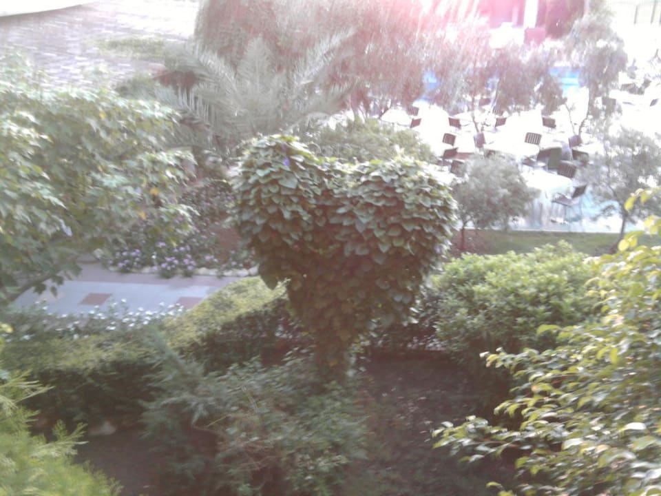 Herzbaum Belek Beach Resort Hotel