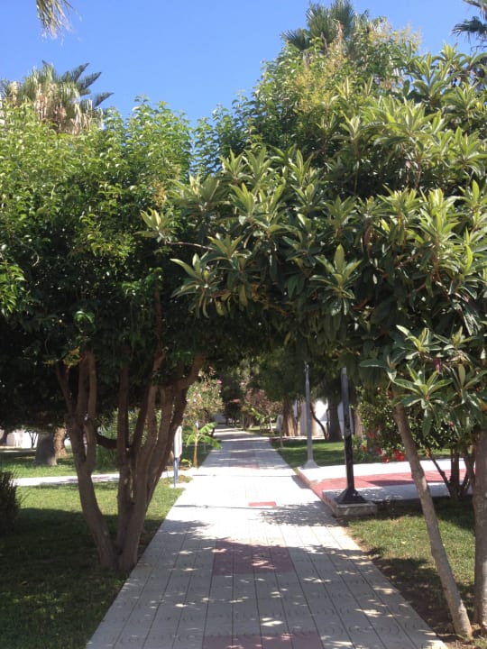Tolle Wege Hotel Tigaki's Star