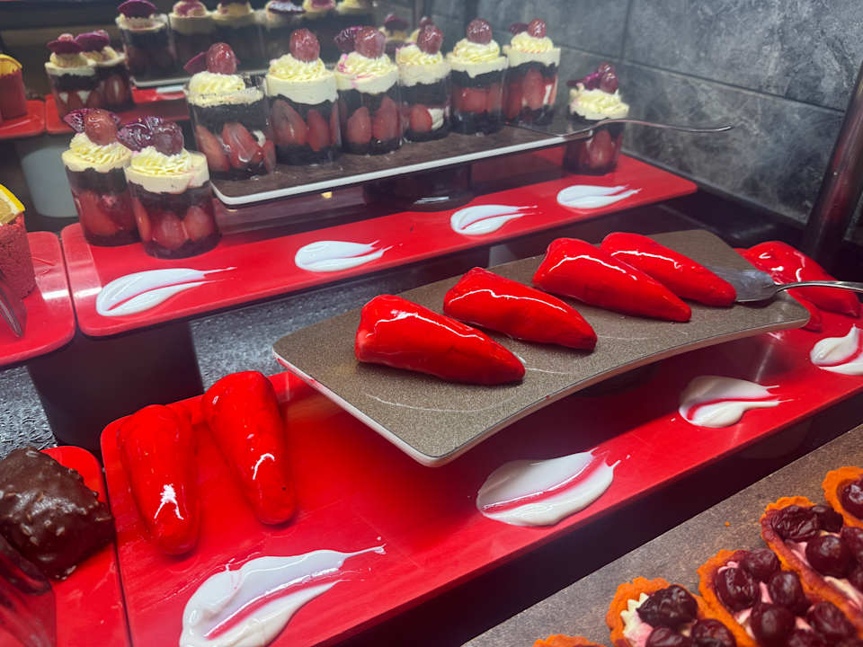 Gastro Seashell Vega