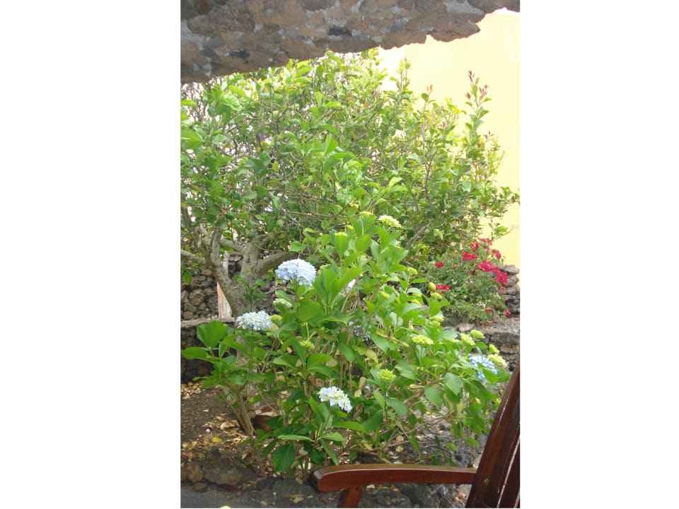 Gartenanlage Casa Rural Aborigen Bimbache