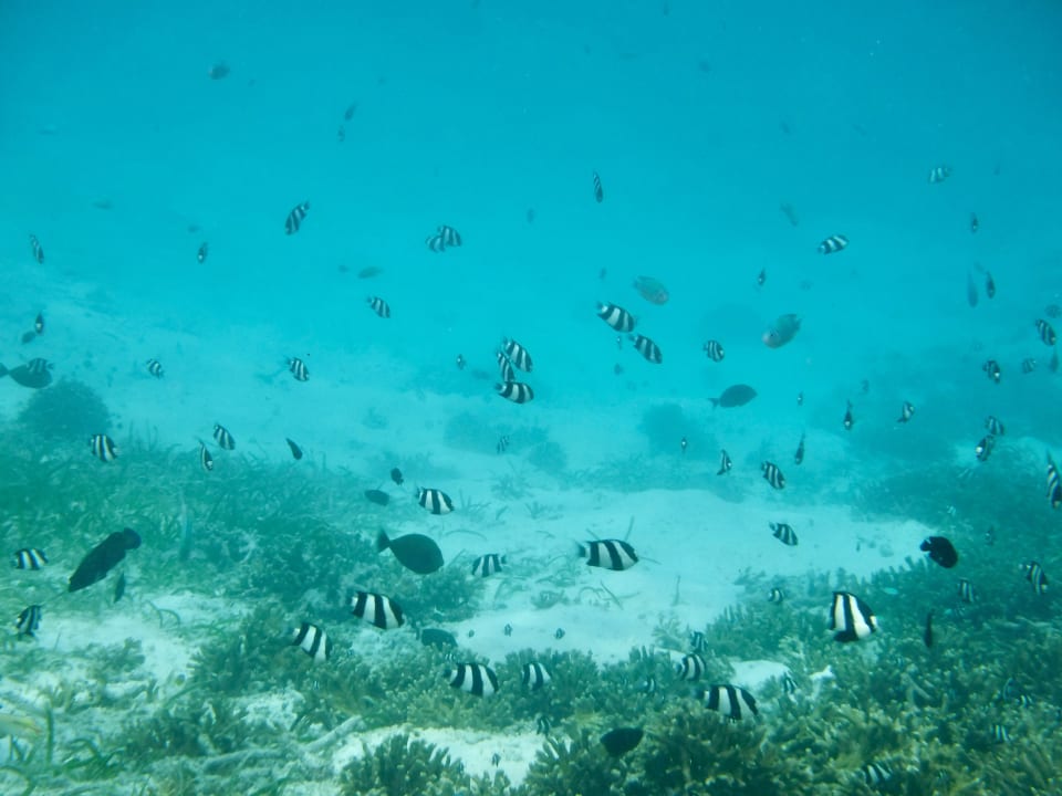 Sport & Freizeit Adaaran Select Hudhuran Fushi - Premium All Inclusive