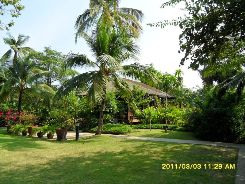 Территория отеля Bandara Resort & Spa Samui