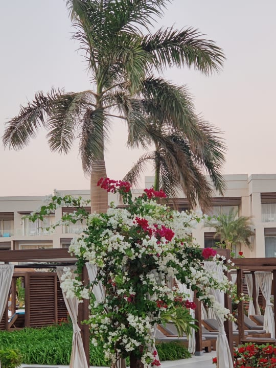 Gartenanlage Steigenberger Resort Ras Soma