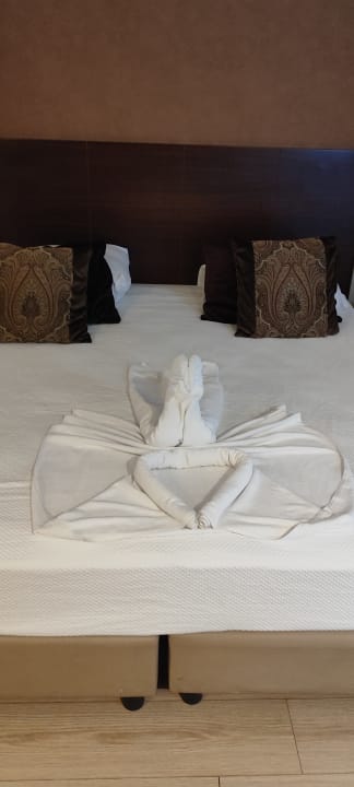 Zimmer Well Palace Side