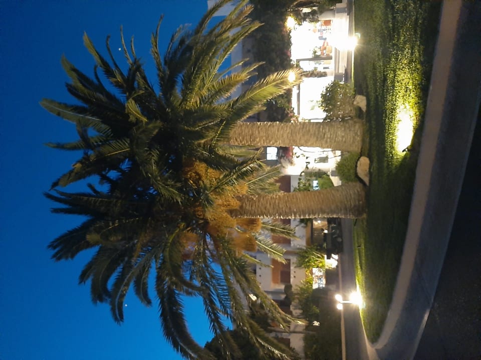 Gartenanlage Anissa Beach & Village