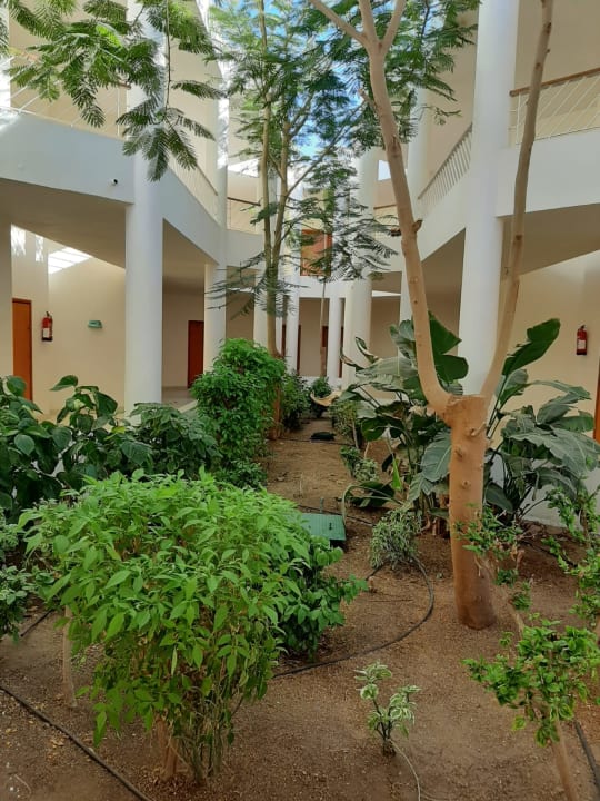 Gartenanlage Parrotel Beach Resort