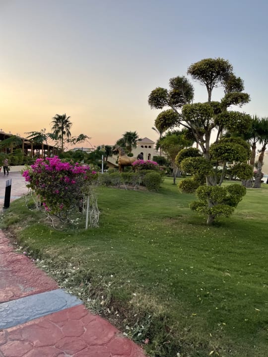 Außenansicht Cleopatra Luxury Resort Makadi Bay