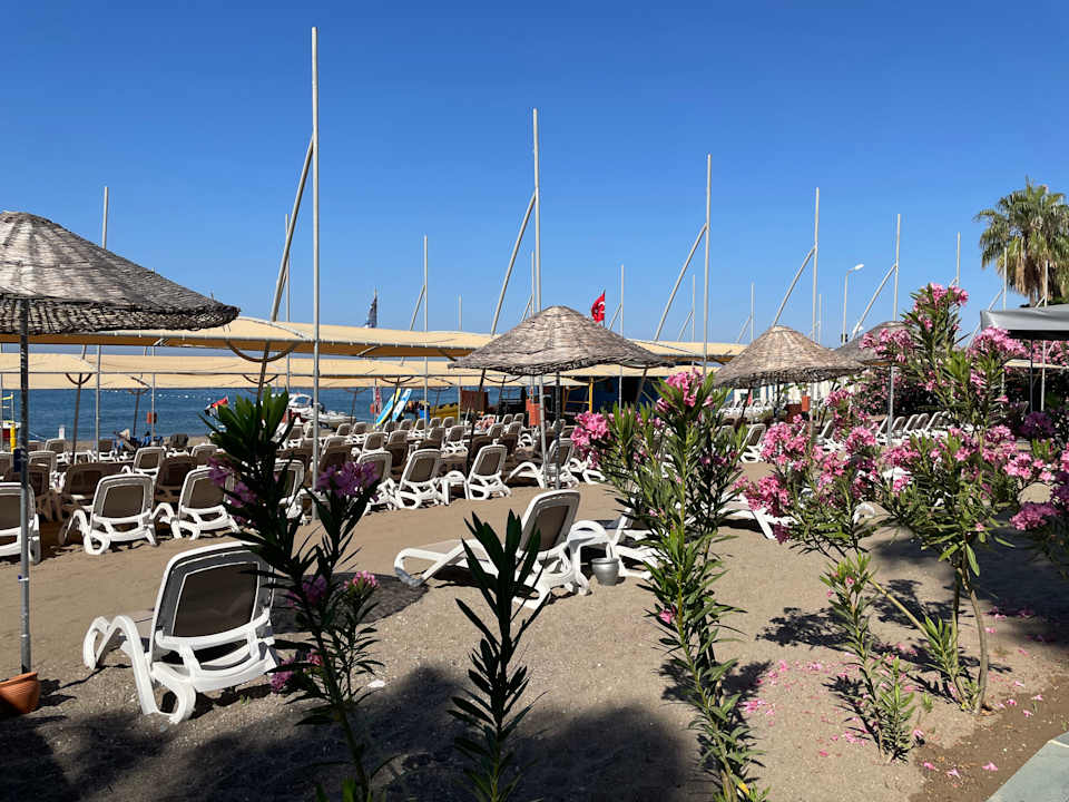 Strand Arycanda Kirman Premium