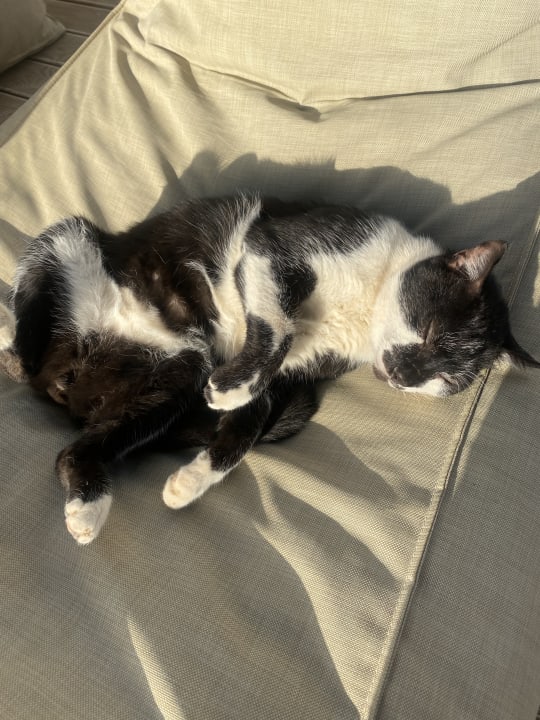 Sport & Freizeit Paralos Lifestyle Beach