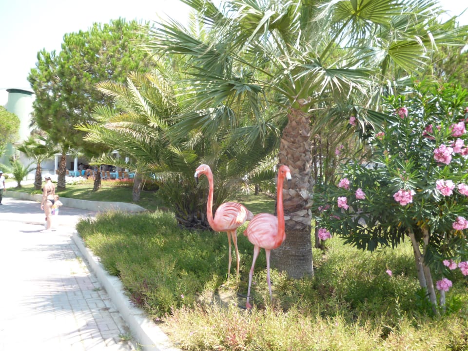 Sehr geflegte Anlage VONRESORT Golden Beach