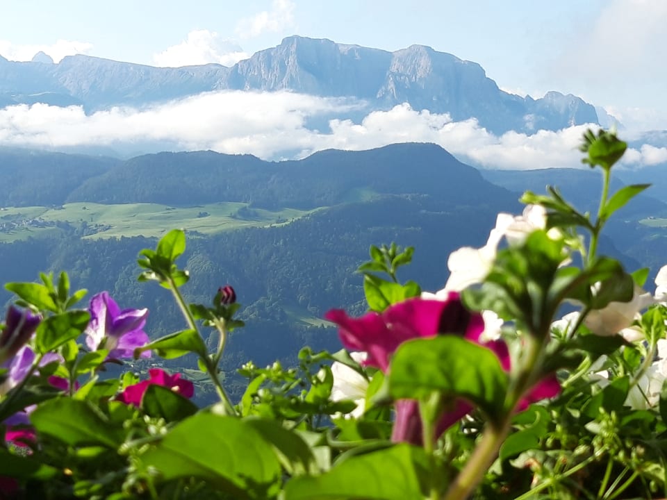 Ausblick Boutique Pension Erlacher – Adults Only