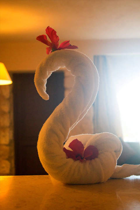 Citadel Azur Resort Pickalbatros Citadel Resort