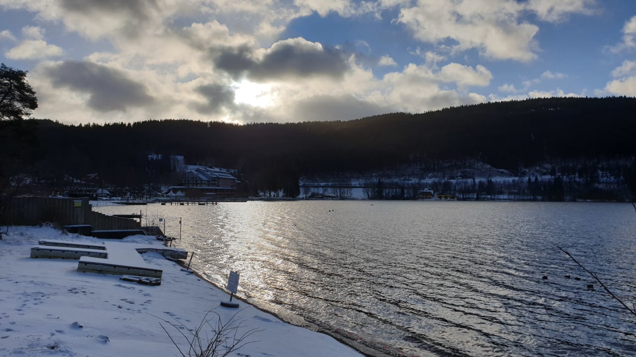 Ausblick Treschers Schwarzwald Hotel