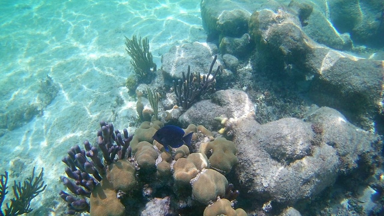 Sport & Freizeit Akumal Bay Beach & Wellness Resort