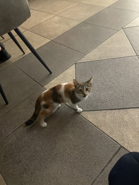 Sonstiges Hotel Kouros Palace