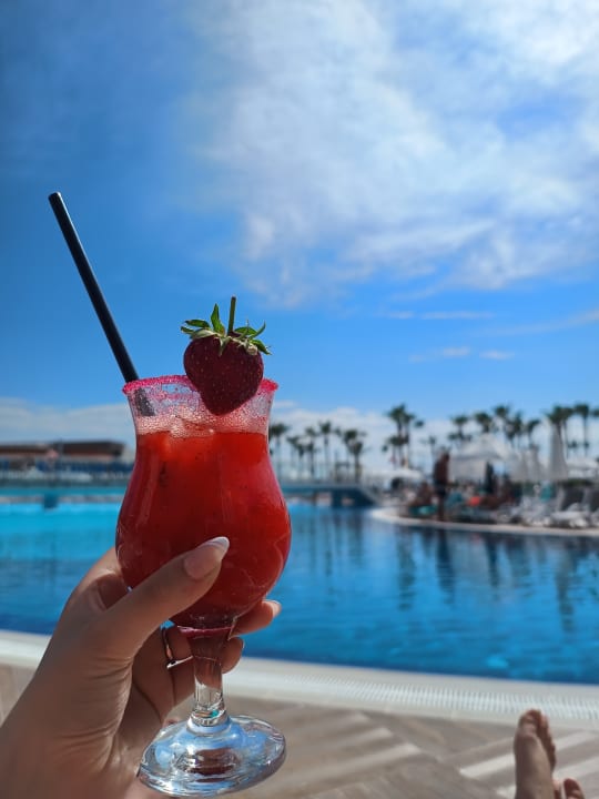 Gastro Sidera Kirman Premium