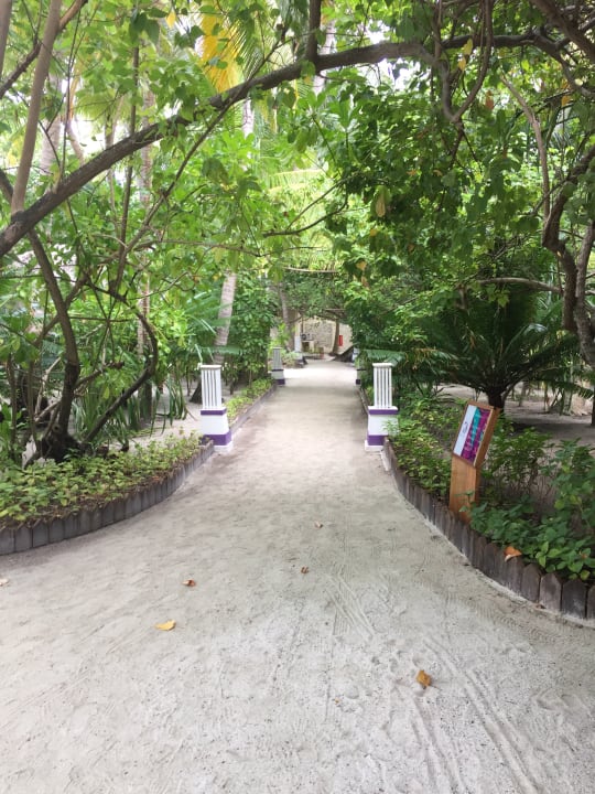 Gartenanlage Ellaidhoo Maldives by Cinnamon