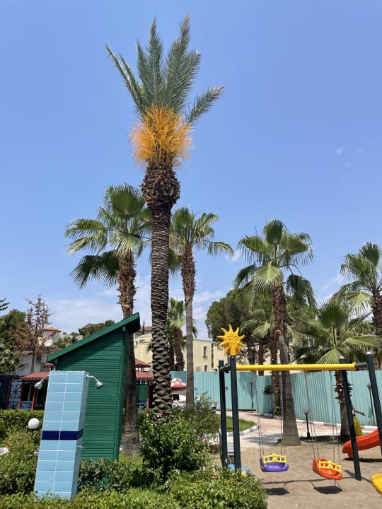 Sport & Freizeit Mira Meridia Beach Hotel