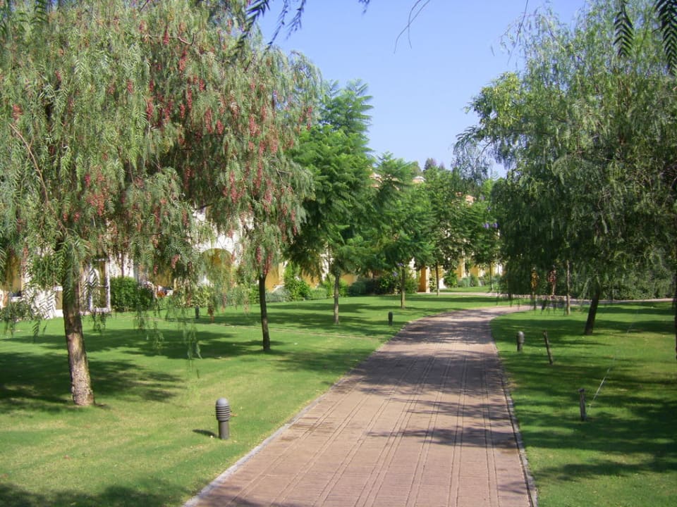 Chemin pour aller aux chambres Falkensteiner Club Funimation Garden Calabria