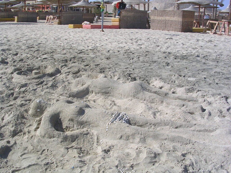 Bild im Sand Malikia Resort Abu Dabbab