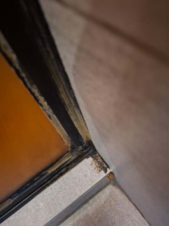 Zimmer Ibis Styles Bangkok Sukhumvit Phra Khanong