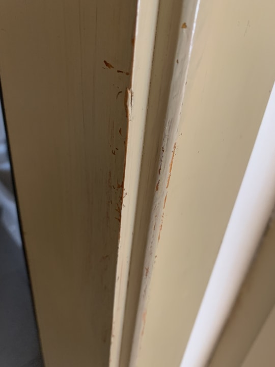 Zimmer blau punta reina