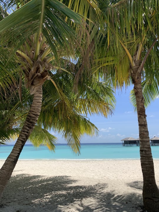 Ausblick Filitheyo Island Resort