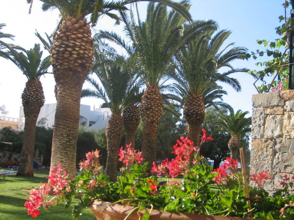 Ausblick von der Poolbar Calimera Sirens Beach