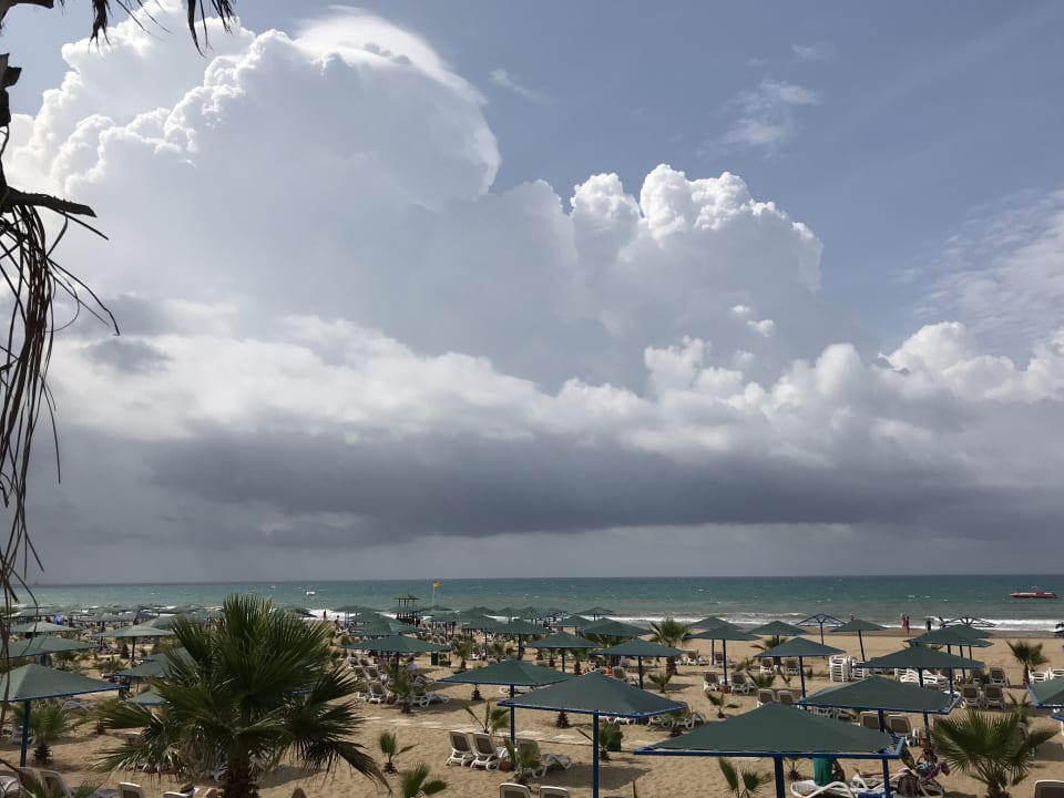 Strandblick vom Pool aus Paloma Oceana