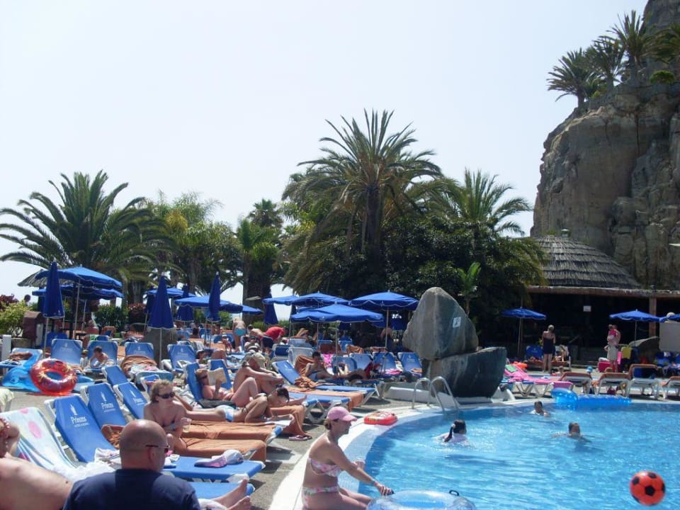 Pool Princess Taurito